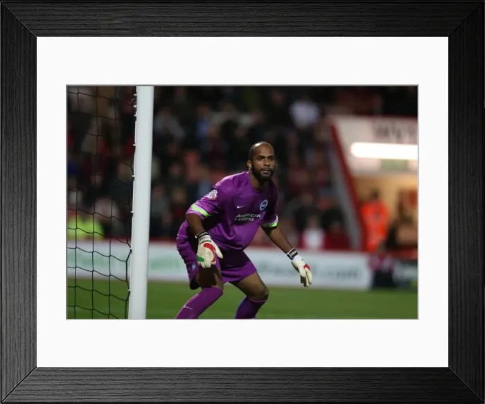 Framed Print : Ali Al-Habsi in Action: Bournemouth vs. Brighton and Hove Albion, SkyBet Championship 2014 Framed Print : Ali Al-Habsi in Action: Bournemouth vs. Brighton and Hove Albion, SkyBet Championship 2014