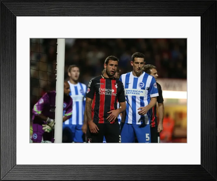 Framed Print : Lewis Dunk in Action at American Express Community Stadium: Brighton and Hove Albion vs. Bournemouth, SkyBet Championship 2014