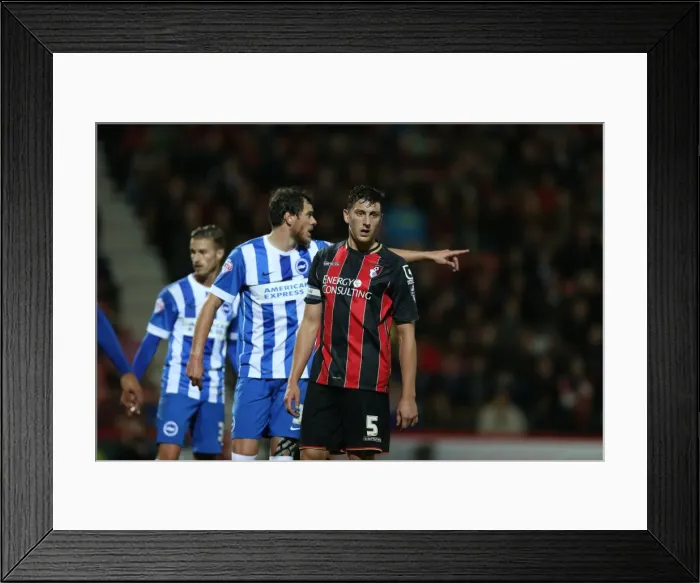 Framed Print : Gordon Greer of Brighton and Hove Albion at American Express Community Stadium during SkyBet Championship Match vs Bournemouth (November 2014) Framed Print : Gordon Greer of Brighton and Hove Albion at American Express Community Stadium during SkyBet Championship Match vs Bournemouth (November 2014)
