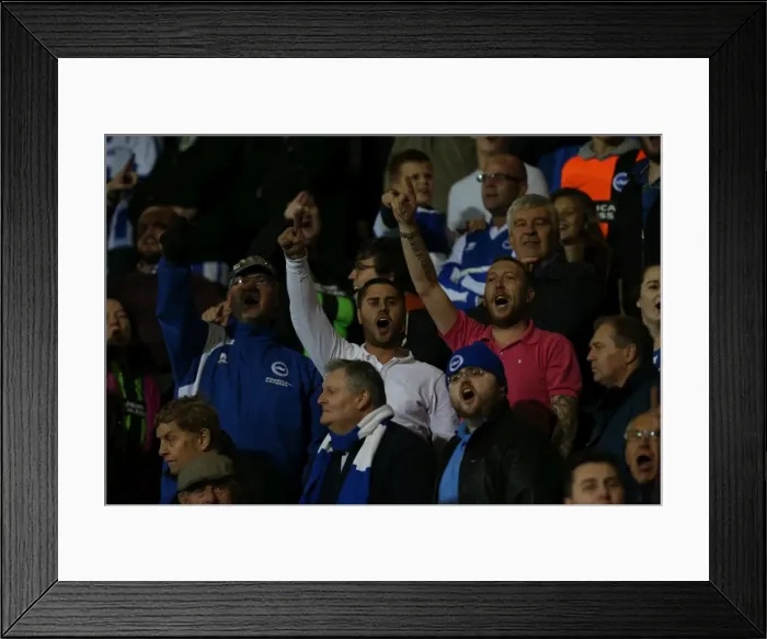 Framed Print : Brighton & Hove Albion Fans at American Express Community Stadium during SkyBet Championship Match vs. Bournemouth (1st November 2014) Framed Print : Brighton & Hove Albion Fans at American Express Community Stadium during SkyBet Championship Match vs. Bournemouth (1st November 2014)