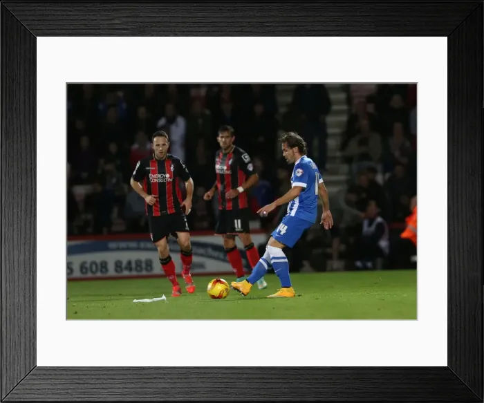 Framed Print : Brighton & Hove Albion: Inigo Calderon at American Express Community Stadium vs. Bournemouth, SkyBet Championship Match, 1st November 2014