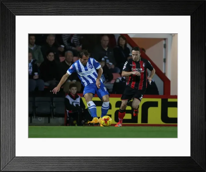 Framed Print : Brighton & Hove Albion's Inigo Calderon at American Express Community Stadium vs. Bournemouth, SkyBet Championship, 1st November 2014