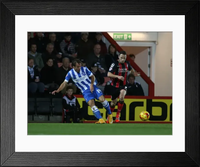 Framed Print : Inigo Calderon at American Express Community Stadium: Brighton and Hove Albion vs. Bournemouth, SkyBet Championship, 1st November 2014