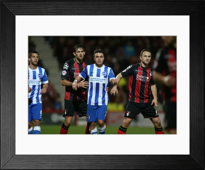 Framed Print : Brighton & Hove Albion's Adrian Colunga at SkyBet Championship Match vs Bournemouth, 1st November 2014 (American Express Community Stadium) Framed Print : Brighton & Hove Albion's Adrian Colunga at SkyBet Championship Match vs Bournemouth, 1st November 2014 (American Express Community Stadium)