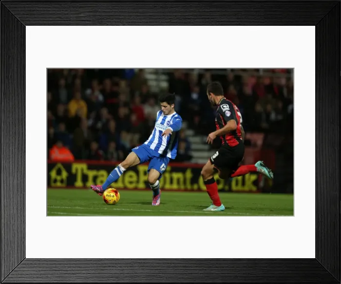 Framed Print : Joao Teixeira in Action at American Express Community Stadium: Brighton and Hove Albion vs Bournemouth, SkyBet Championship (1st November 2014) Framed Print : Joao Teixeira in Action at American Express Community Stadium: Brighton and Hove Albion vs Bournemouth, SkyBet Championship (1st November 2014)