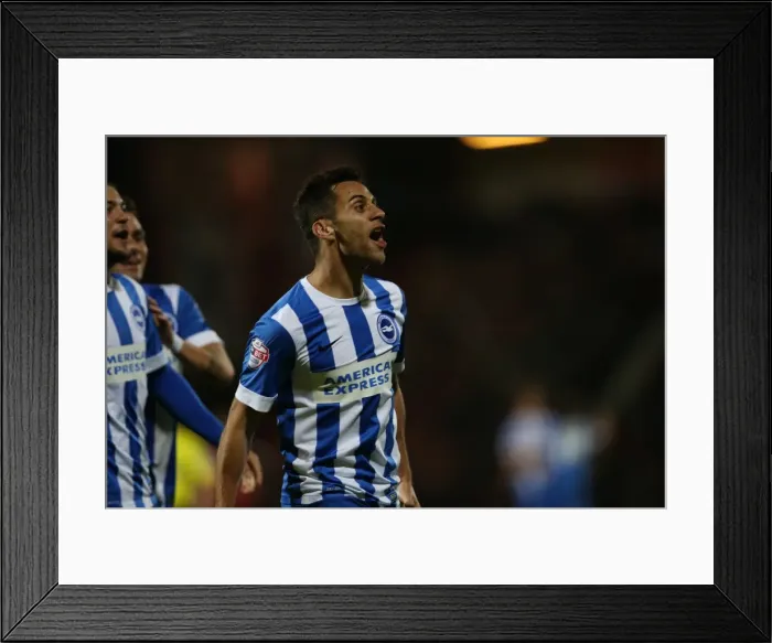 Framed Print : Sam Baldock Scores: Brighton and Hove Albion Triumph Over Bournemouth in SkyBet Championship (1st November 2014) Framed Print : Sam Baldock Scores: Brighton and Hove Albion Triumph Over Bournemouth in SkyBet Championship (1st November 2014)