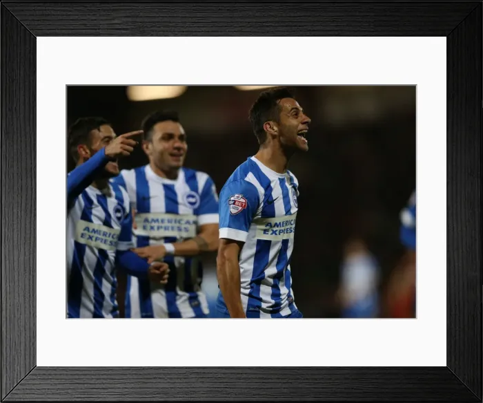 Framed Print : Sam Baldock Scores for Brighton and Hove Albion in SkyBet Championship Clash against Bournemouth, 1st November 2014 Framed Print : Sam Baldock Scores for Brighton and Hove Albion in SkyBet Championship Clash against Bournemouth, 1st November 2014