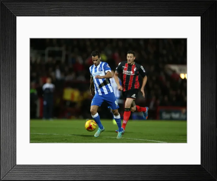 Framed Print : Sam Baldock Scores the Winning Goal for Brighton and Hove Albion against Bournemouth in SkyBet Championship (November 2014) Framed Print : Sam Baldock Scores the Winning Goal for Brighton and Hove Albion against Bournemouth in SkyBet Championship (November 2014)