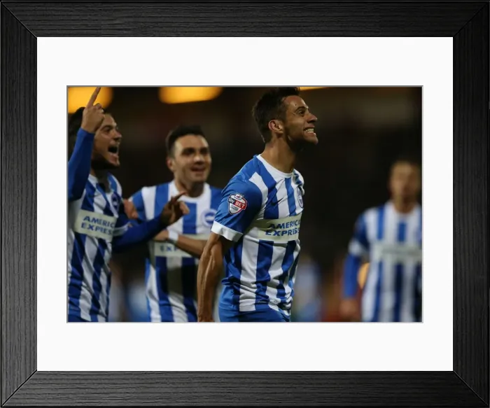 Framed Print : Sam Baldock Scores the Winning Goal: Brighton and Hove Albion at Bournemouth, 2014