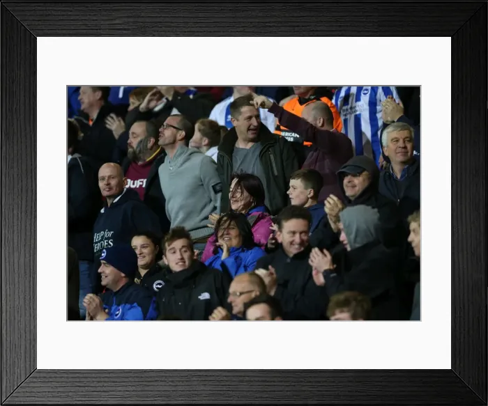 Framed Print : Brighton & Hove Albion Fans Celebrate Promotion to Premier League at American Express Community Stadium Framed Print : Brighton & Hove Albion Fans Celebrate Promotion to Premier League at American Express Community Stadium