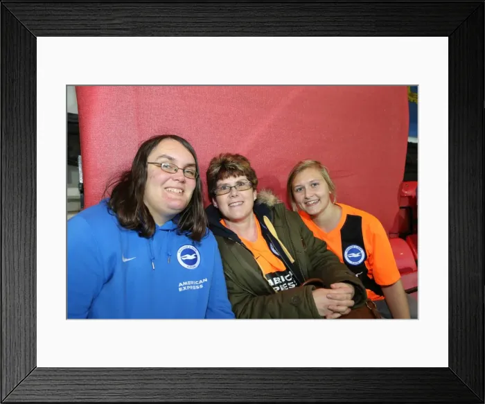 Framed Print : Brighton and Hove Albion Fans United: SkyBet Championship Showdown at American Express Community Stadium vs. Bournemouth (November 2014) Framed Print : Brighton and Hove Albion Fans United: SkyBet Championship Showdown at American Express Community Stadium vs. Bournemouth (November 2014)