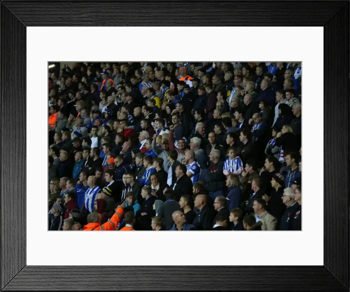 Framed Print : Brighton and Hove Albion Fans United: SkyBet Championship Showdown at Bournemouth's Goldsands Stadium (November 1, 2014) Framed Print : Brighton and Hove Albion Fans United: SkyBet Championship Showdown at Bournemouth's Goldsands Stadium (November 1, 2014)