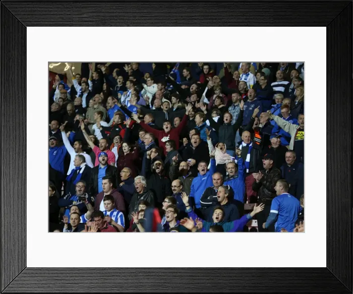 Framed Print : Brighton and Hove Albion Fans Unite at American Express Community Stadium During SkyBet Championship Match vs. Bournemouth (November 2014) Framed Print : Brighton and Hove Albion Fans Unite at American Express Community Stadium During SkyBet Championship Match vs. Bournemouth (November 2014)
