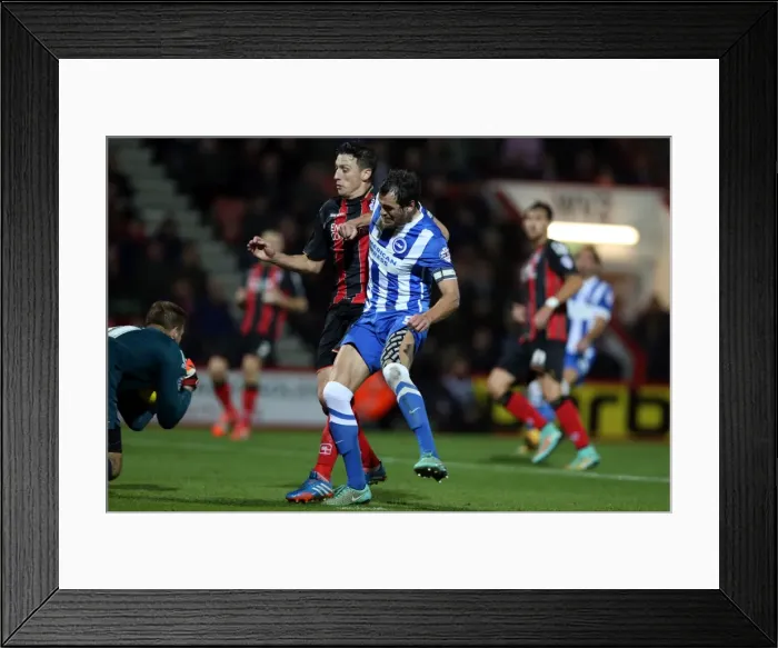 Framed Print : Brighton & Hove Albion Away at Bournemouth - Season 2014-15 (01NOV14) Framed Print : Brighton & Hove Albion Away at Bournemouth - Season 2014-15 (01NOV14)