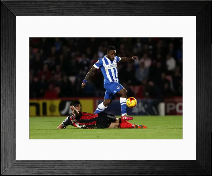 Framed Print : Brighton & Hove Albion Away at Bournemouth - Season 2014-15 (01NOV14) Framed Print : Brighton & Hove Albion Away at Bournemouth - Season 2014-15 (01NOV14)