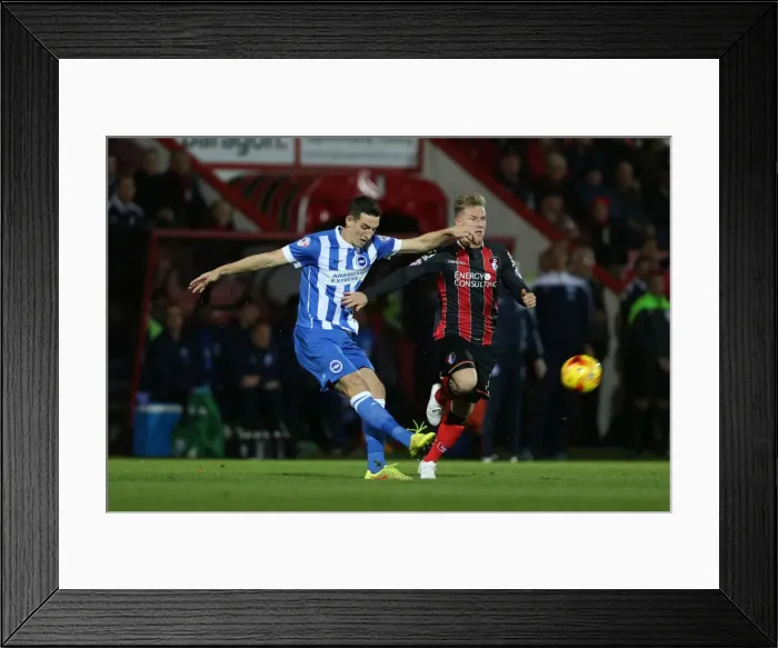 Framed Print : Brighton & Hove Albion Away at Bournemouth - 01NOV14 Framed Print : Brighton & Hove Albion Away at Bournemouth - 01NOV14
