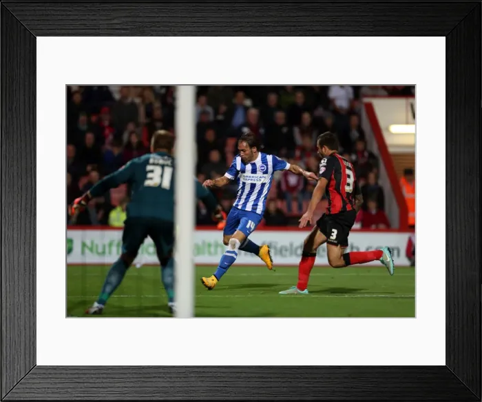 Framed Print : Brighton & Hove Albion Away at Bournemouth - Season 2014-15 (01NOV14) Framed Print : Brighton & Hove Albion Away at Bournemouth - Season 2014-15 (01NOV14)