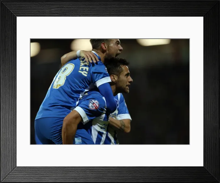 Framed Print : Brighton & Hove Albion vs. Bournemouth: 2014-15 Away Game