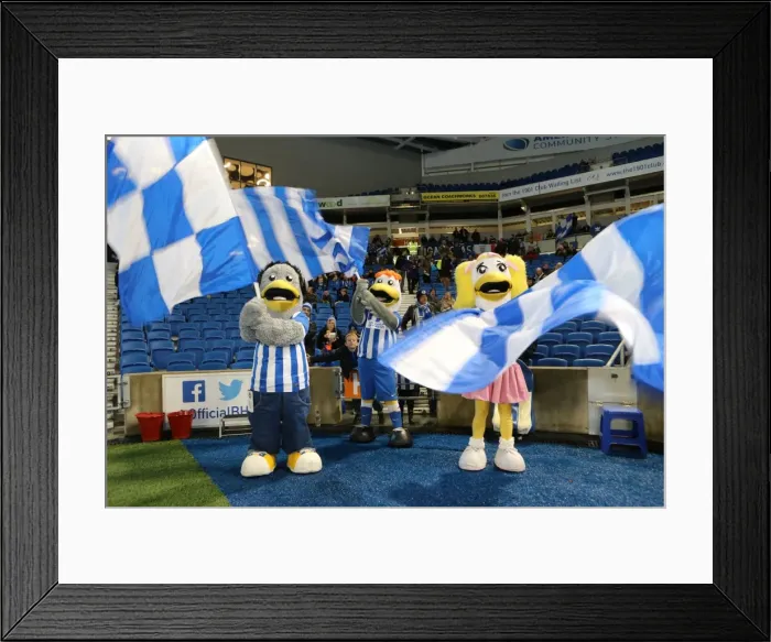 Framed Print : Brighton and Hove Albion v Wigan Athletic Framed Print : Brighton and Hove Albion v Wigan Athletic