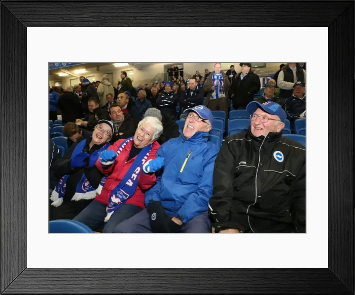 Framed Print : Brighton & Hove Albion FC: Unwavering Support Against Wigan Athletic in Sky Bet Championship (November 2014) Framed Print : Brighton & Hove Albion FC: Unwavering Support Against Wigan Athletic in Sky Bet Championship (November 2014)