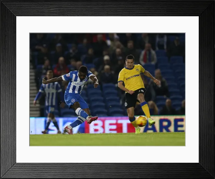 Framed Print : Kazenga LuaLua in Action: Brighton & Hove Albion vs Wigan Athletic, American Express Community Stadium, 4 November 2014 Framed Print : Kazenga LuaLua in Action: Brighton & Hove Albion vs Wigan Athletic, American Express Community Stadium, 4 November 2014