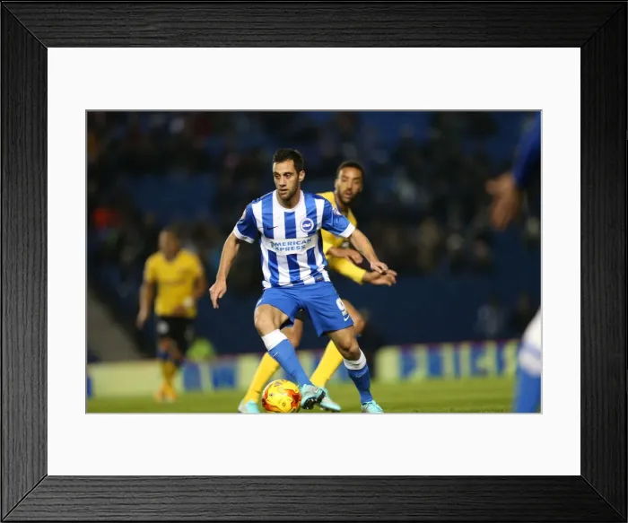 Framed Print : Sam Baldock in Action: Brighton & Hove Albion vs Wigan Athletic (November 2014) Framed Print : Sam Baldock in Action: Brighton & Hove Albion vs Wigan Athletic (November 2014)