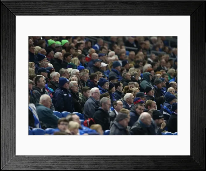 Framed Print : Brighton and Hove Albion FC: Unwavering Fan Support in Sky Bet Championship Clash vs. Wigan Athletic (November 2014) Framed Print : Brighton and Hove Albion FC: Unwavering Fan Support in Sky Bet Championship Clash vs. Wigan Athletic (November 2014)