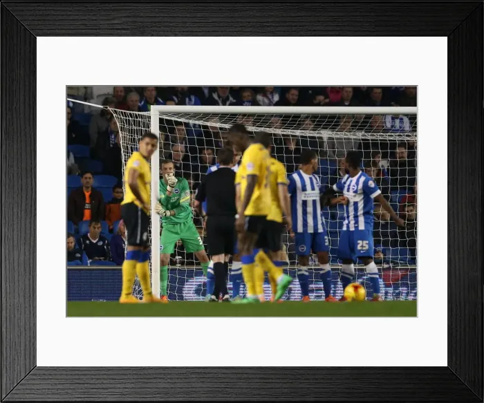 Framed Print : Brighton & Hove Albion's Christian Walton: A Clean Sheet Debut Against Wigan Athletic (4 Nov 2014) Framed Print : Brighton & Hove Albion's Christian Walton: A Clean Sheet Debut Against Wigan Athletic (4 Nov 2014)