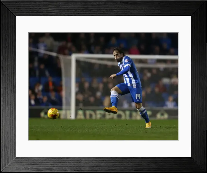 Framed Print : Brighton & Hove Albion vs Wigan Athletic: Inigo Calderon's Championship Showdown (November 2014) Framed Print : Brighton & Hove Albion vs Wigan Athletic: Inigo Calderon's Championship Showdown (November 2014)