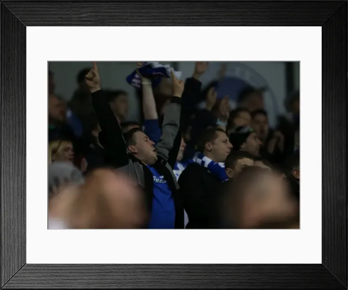 Framed Print : Brighton and Hove Albion FC: Unwavering Fan Support during Sky Bet Championship Match vs. Wigan Athletic (4 November 2014)