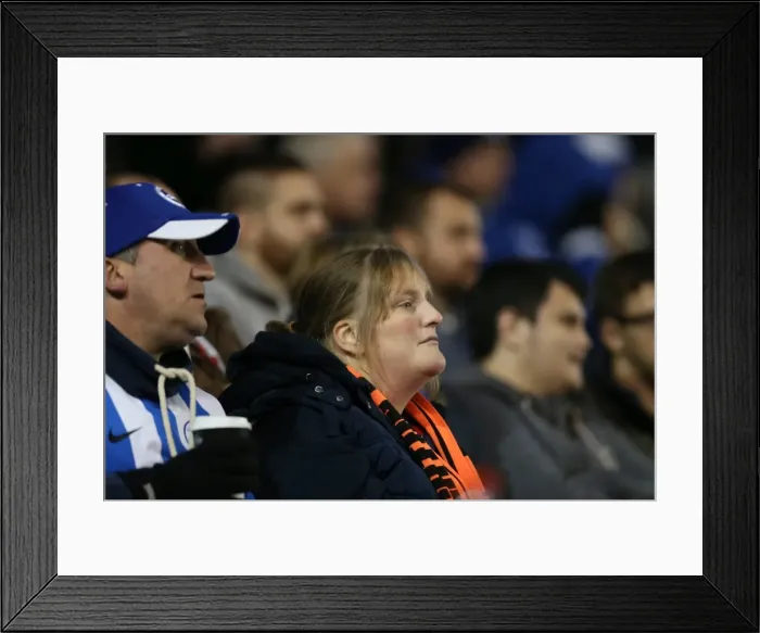 Framed Print : Brighton and Hove Albion FC: Unwavering Support - Sky Bet Championship Match vs Wigan Athletic (4 November 2014) Framed Print : Brighton and Hove Albion FC: Unwavering Support - Sky Bet Championship Match vs Wigan Athletic (4 November 2014)