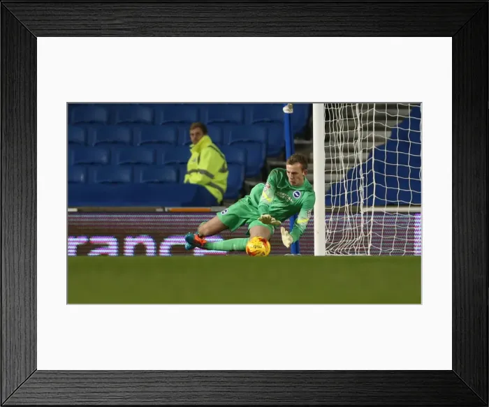 Framed Print : Christian Walton in Action: Brighton & Hove Albion vs Wigan Athletic (4 Nov 2014) Framed Print : Christian Walton in Action: Brighton & Hove Albion vs Wigan Athletic (4 Nov 2014)