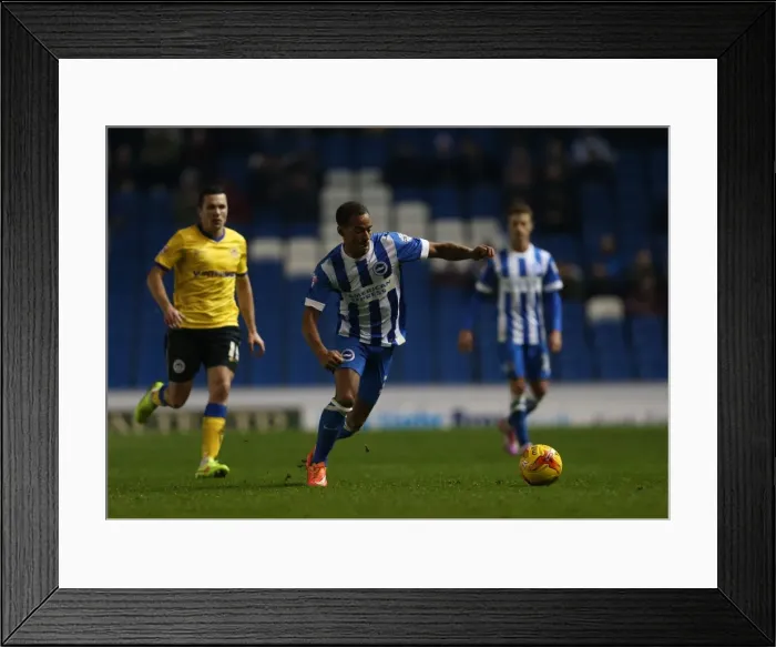 Framed Print : Elliott Bennett in Action: Brighton & Hove Albion vs Wigan Athletic (Nov 2014) Framed Print : Elliott Bennett in Action: Brighton & Hove Albion vs Wigan Athletic (Nov 2014)