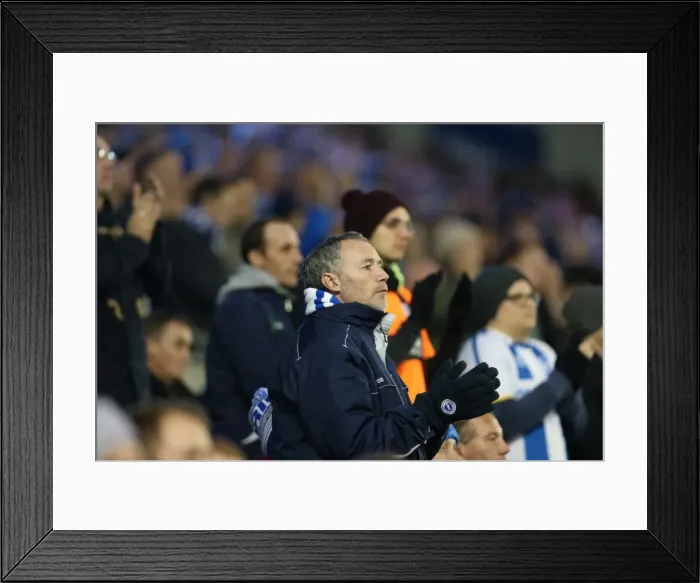 Framed Print : Brighton and Hove Albion FC: Unwavering Fan Support in Sky Bet Championship Clash vs. Wigan Athletic (November 2014) Framed Print : Brighton and Hove Albion FC: Unwavering Fan Support in Sky Bet Championship Clash vs. Wigan Athletic (November 2014)