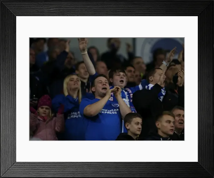 Framed Print : Brighton and Hove Albion FC: Unstoppable Seafront Seasiders in Full Force Against Wigan Athletic (Sky Bet Championship, 4 November 2014) Framed Print : Brighton and Hove Albion FC: Unstoppable Seafront Seasiders in Full Force Against Wigan Athletic (Sky Bet Championship, 4 November 2014)