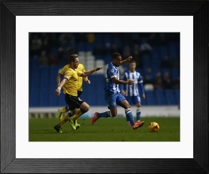 Framed Print : Elliott Bennett in Action: Brighton & Hove Albion vs Wigan Athletic (Nov 2014) Framed Print : Elliott Bennett in Action: Brighton & Hove Albion vs Wigan Athletic (Nov 2014)