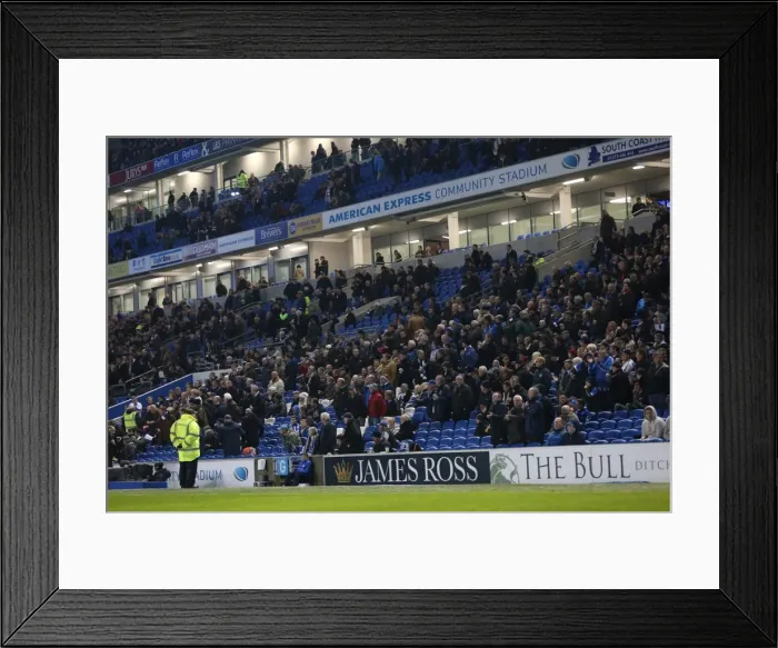 Framed Print : The Roaring Albion Fan: Brighton and Hove vs. Wigan Athletic, American Express Community Stadium, 2014 Framed Print : The Roaring Albion Fan: Brighton and Hove vs. Wigan Athletic, American Express Community Stadium, 2014