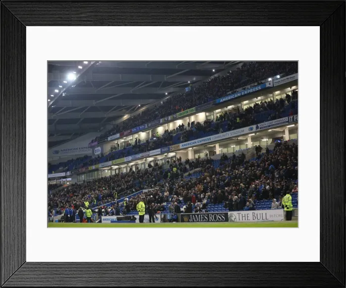 Framed Print : The Roaring Albion Fan: Brighton and Hove vs Wigan Athletic, American Express Community Stadium, 2014 Framed Print : The Roaring Albion Fan: Brighton and Hove vs Wigan Athletic, American Express Community Stadium, 2014