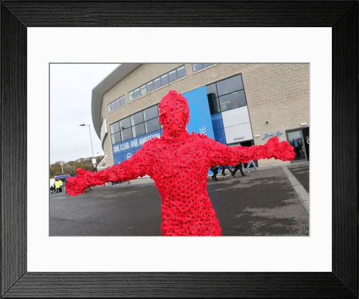 Framed Print : Poppy Tribute: Brighton and Hove Albion vs. Wigan Athletic, Sky Bet Championship 2014 Framed Print : Poppy Tribute: Brighton and Hove Albion vs. Wigan Athletic, Sky Bet Championship 2014