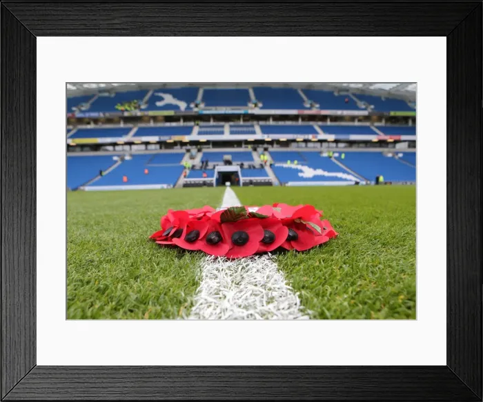 Framed Print : Remembrance Day Poppies: Brighton & Hove Albion vs. Wigan Athletic, Sky Bet Championship 2014 Framed Print : Remembrance Day Poppies: Brighton & Hove Albion vs. Wigan Athletic, Sky Bet Championship 2014