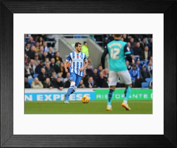 Framed Print : Gordon Greer: Intense Concentration during Brighton and Hove Albion's Championship Clash vs. Wigan Athletic (8 November 2014) Framed Print : Gordon Greer: Intense Concentration during Brighton and Hove Albion's Championship Clash vs. Wigan Athletic (8 November 2014)