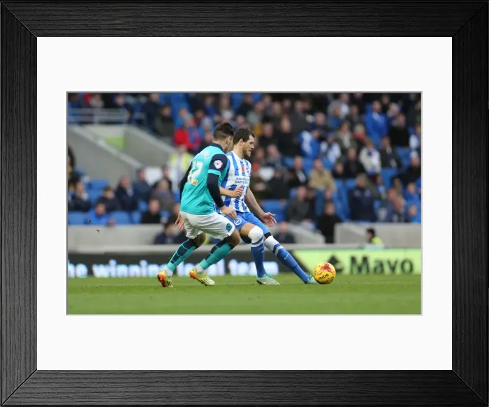 Framed Print : Gordon Greer Focuses in Brighton and Hove Albion vs Wigan Athletic Championship Clash (8 Nov 2014) Framed Print : Gordon Greer Focuses in Brighton and Hove Albion vs Wigan Athletic Championship Clash (8 Nov 2014)