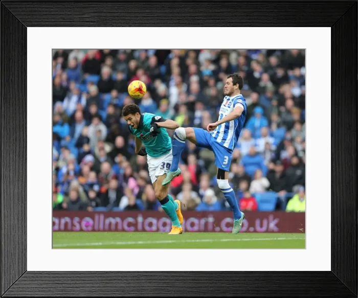 Framed Print : Gordon Greer in Action: Brighton and Hove Albion vs. Wigan Athletic, Sky Bet Championship, 8 November 2014 Framed Print : Gordon Greer in Action: Brighton and Hove Albion vs. Wigan Athletic, Sky Bet Championship, 8 November 2014