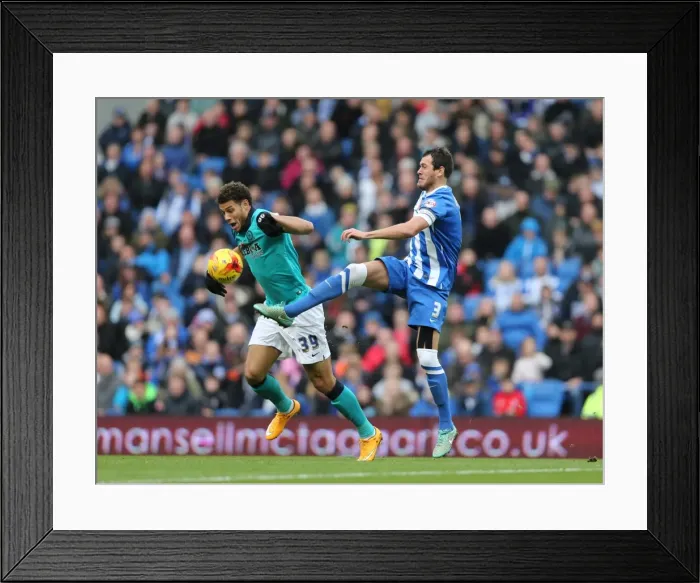 Framed Print : Gordon Greer: Intense Concentration during Brighton & Hove Albion's Championship Clash vs. Wigan Athletic (8 November 2014) Framed Print : Gordon Greer: Intense Concentration during Brighton & Hove Albion's Championship Clash vs. Wigan Athletic (8 November 2014)