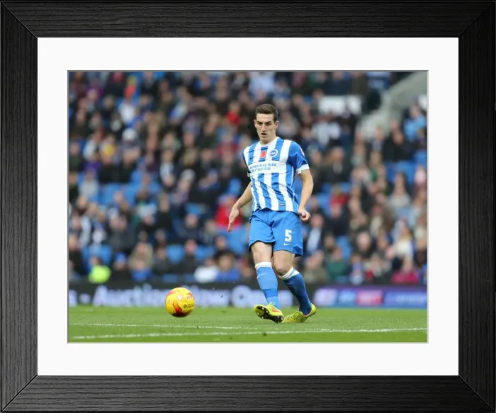 Framed Print : Lewis Dunk Focuses in Brighton and Hove Albion vs Wigan Athletic, Sky Bet Championship 2014 Framed Print : Lewis Dunk Focuses in Brighton and Hove Albion vs Wigan Athletic, Sky Bet Championship 2014