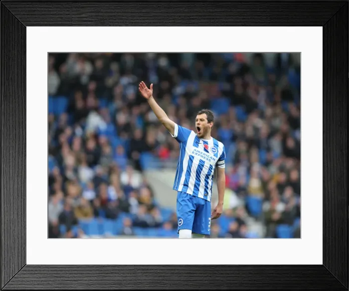 Framed Print : Gordon Greer Focused: Brighton and Hove Albion vs. Wigan Athletic, Sky Bet Championship, 8 November 2014 Framed Print : Gordon Greer Focused: Brighton and Hove Albion vs. Wigan Athletic, Sky Bet Championship, 8 November 2014