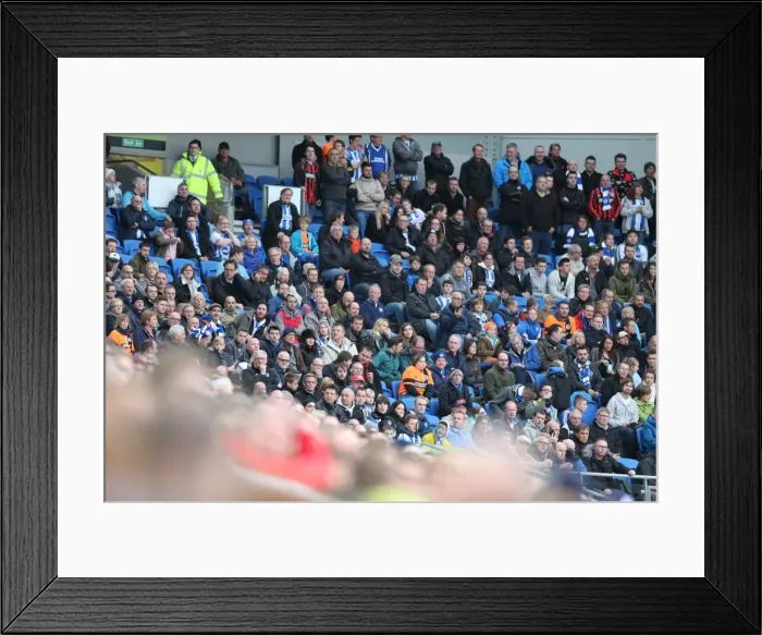 Framed Print : Brighton & Hove Albion Fans in Full Force: Sky Bet Championship Showdown vs. Wigan Athletic (8 November 2014) Framed Print : Brighton & Hove Albion Fans in Full Force: Sky Bet Championship Showdown vs. Wigan Athletic (8 November 2014)
