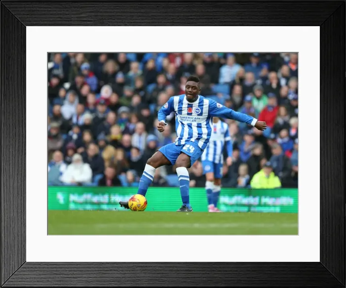 Framed Print : Rohan Ince in Action: Brighton & Hove Albion vs. Wigan Athletic, American Express Community Stadium, November 2014 Framed Print : Rohan Ince in Action: Brighton & Hove Albion vs. Wigan Athletic, American Express Community Stadium, November 2014