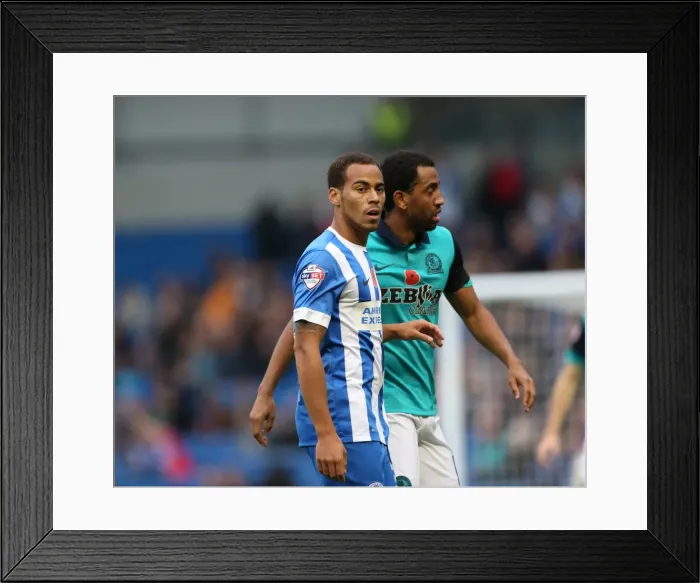 Framed Print : Brighton & Hove Albion's Elliott Bennett in Action Against Wigan Athletic (November 2014) Framed Print : Brighton & Hove Albion's Elliott Bennett in Action Against Wigan Athletic (November 2014)