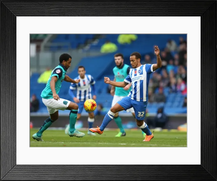 Framed Print : Elliott Bennett in Action: Brighton & Hove Albion vs. Wigan Athletic (Nov 2014) Framed Print : Elliott Bennett in Action: Brighton & Hove Albion vs. Wigan Athletic (Nov 2014)
